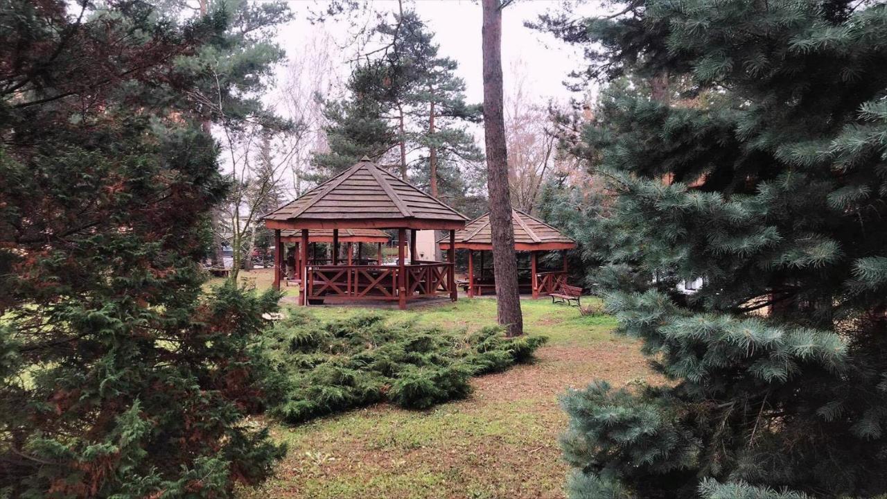 Hotel U Witaszka Czosnów Extérieur photo